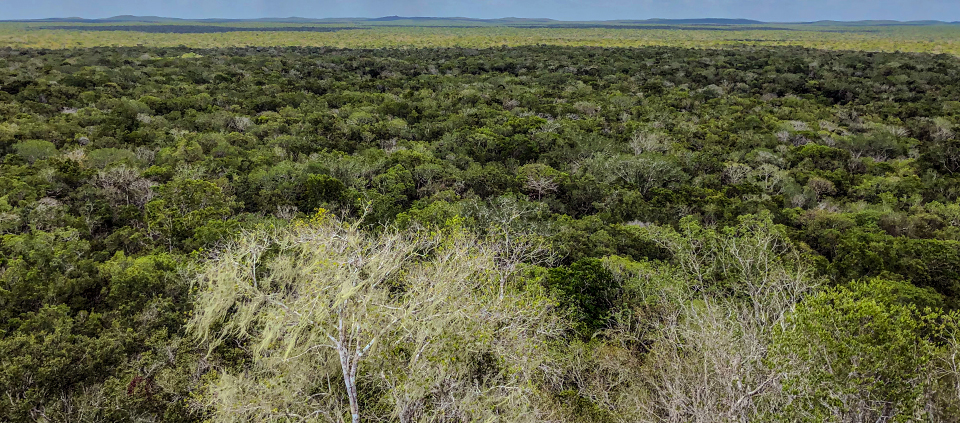 Yucatan