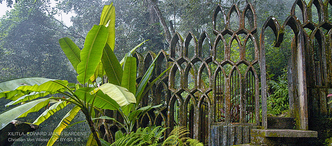 Sierra Gorda & Xilitla